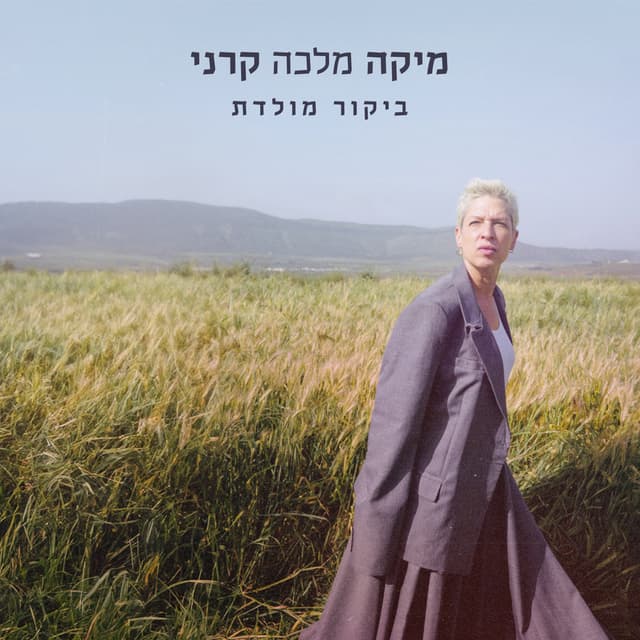 Album cover art for ביקור מולדת