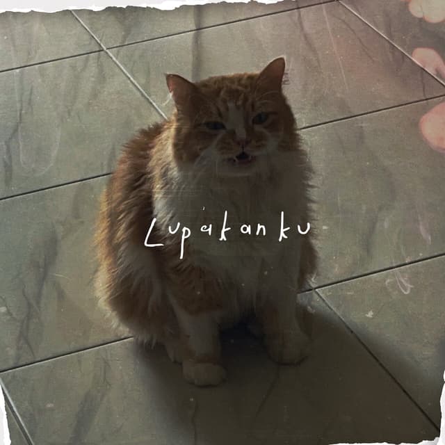 Album cover art for lupakanku