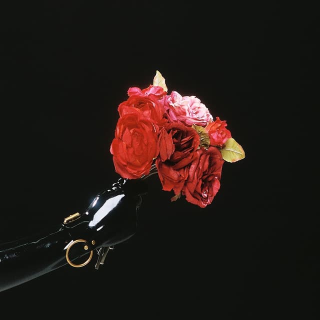 Album cover art for In Your Name