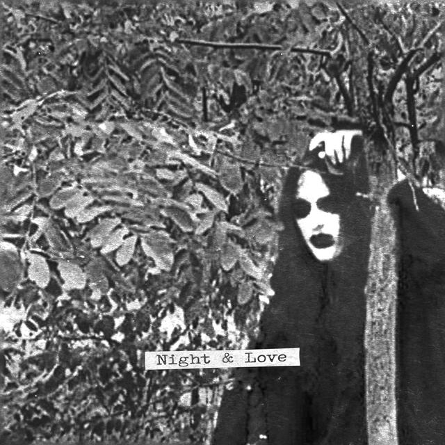 Album cover art for Night & Love