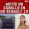 CABALLO EN RENAULT 19