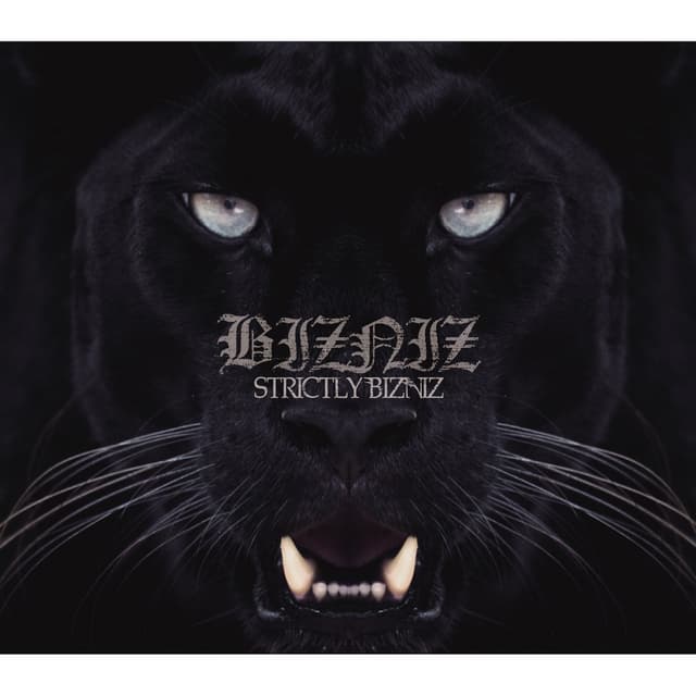 Album cover art for Strictly Bizniz