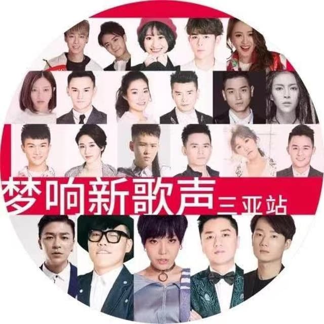 Album cover art for 《中国好声音》2012三亚沙滩音乐节2
