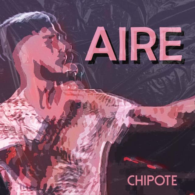 Album cover art for Aire