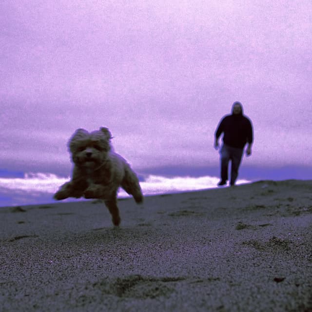 Album cover art for Radio