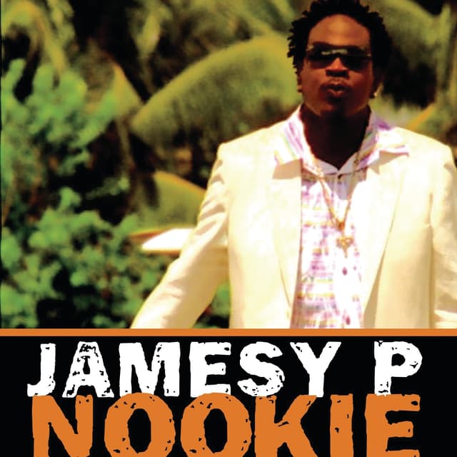 Album cover art for Nookie