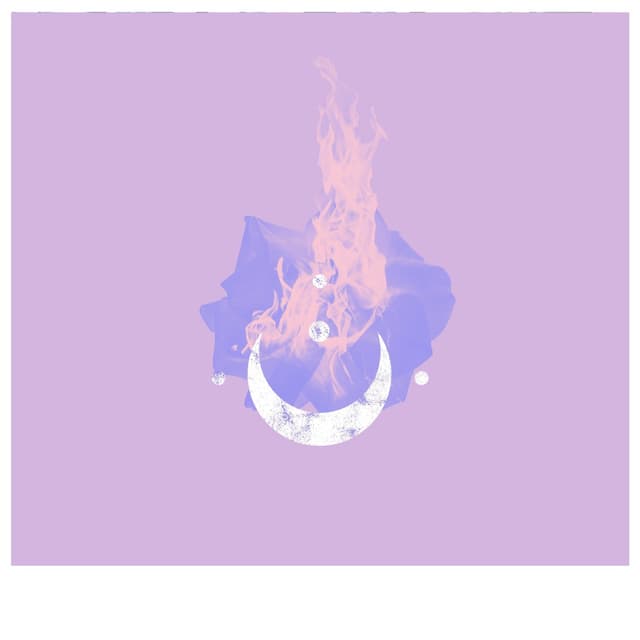 Album cover art for The Garden