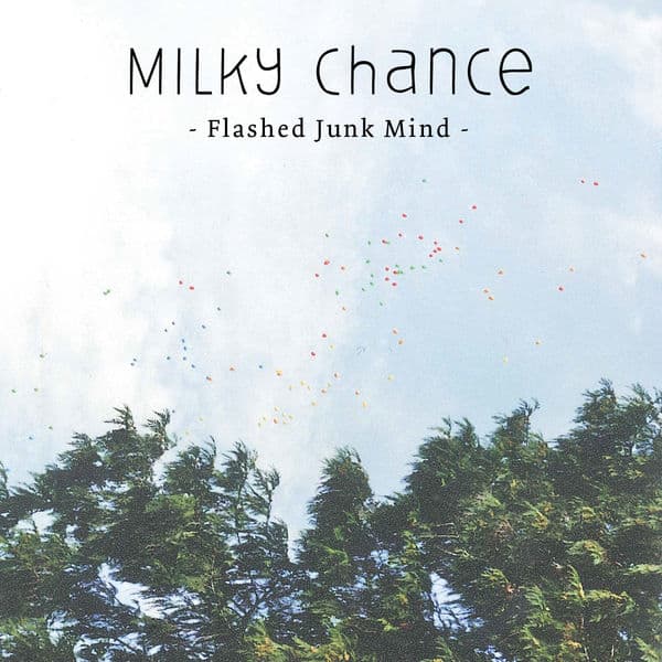 Album cover art for Flashed Junk Mind