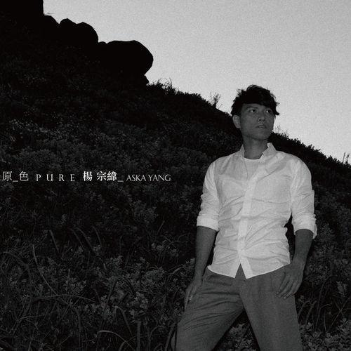 Album cover art for Pure Aska
