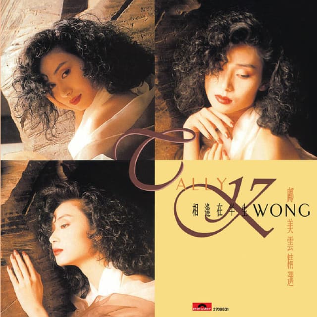 Album cover art for 相逢在半生