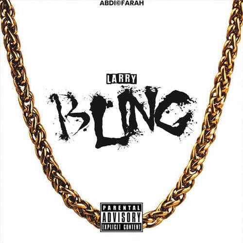 Album cover art for Bling