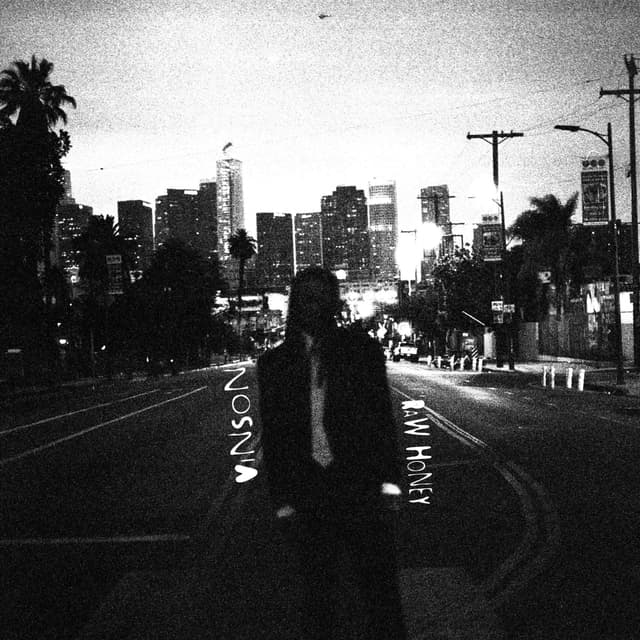Album cover art for Raw Honey