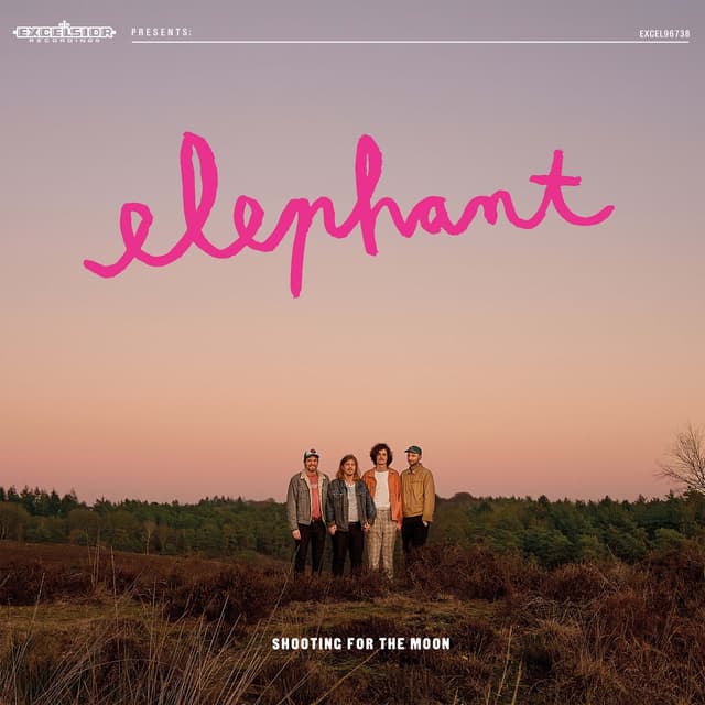 Album cover art for Shooting for the Moon