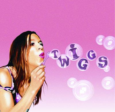 Album cover art for Twiggs