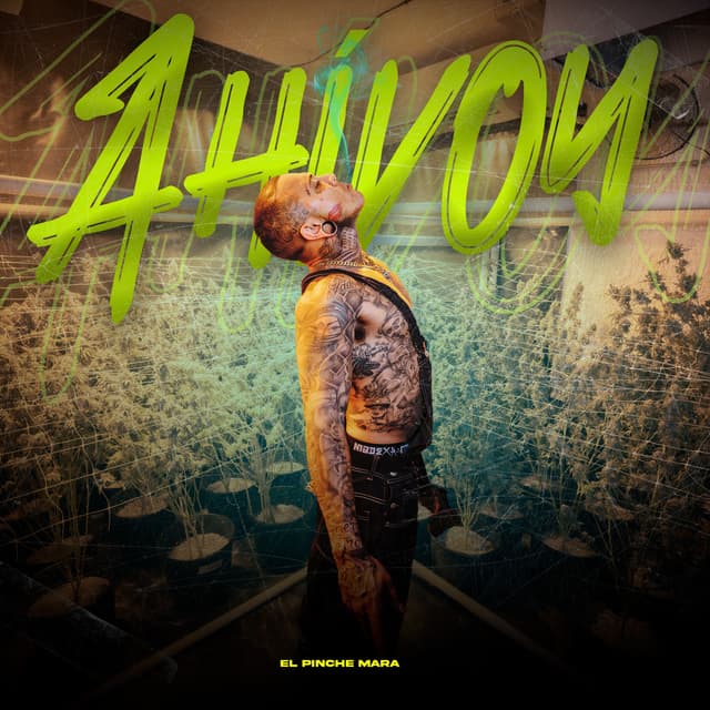 Album cover art for Ahi voy