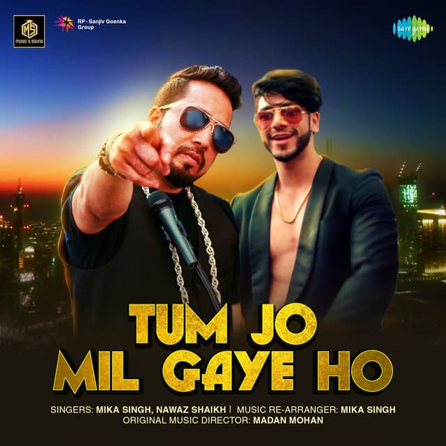 Album cover art for Tum Jo Mil Gaye Ho
