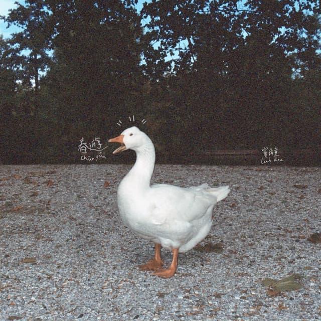 Album cover art for 春游