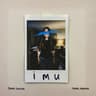 IMU