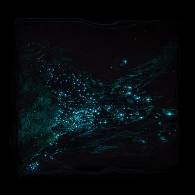 Album cover art for Way Out