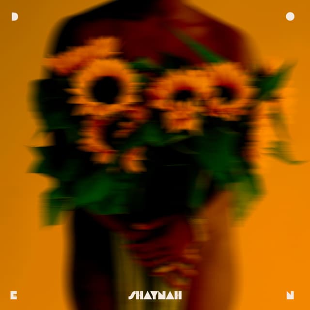 Album cover art for DONE