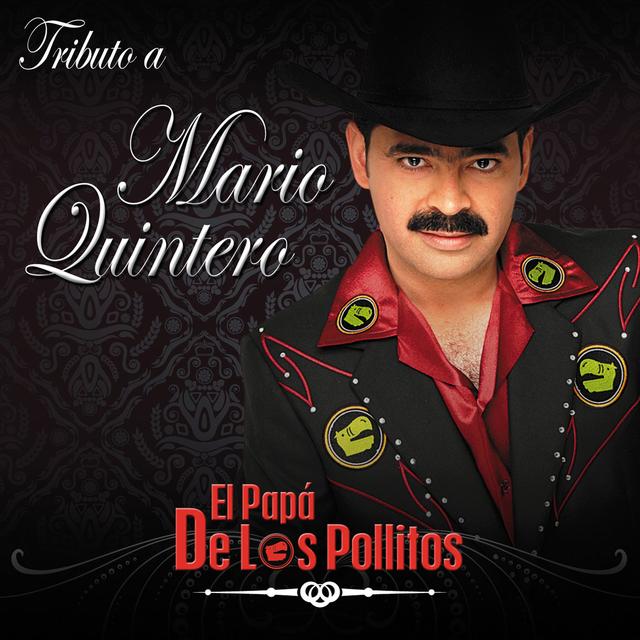 Album cover art for Tributo A Mario Quintero El Papá De Los Pollitos