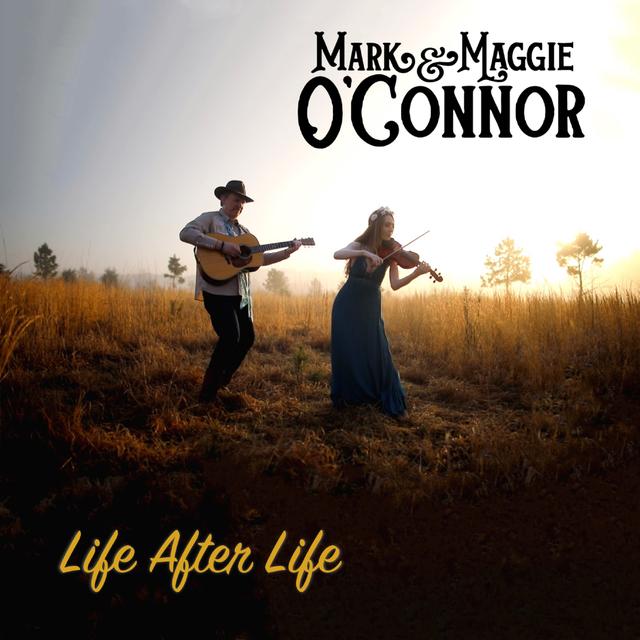 Album cover art for Life After Life