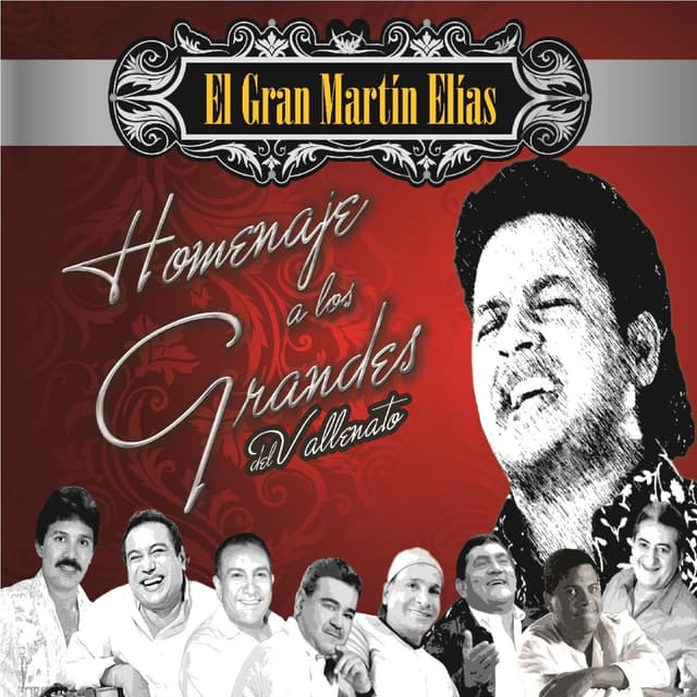 Album cover art for Homenaje a los Grandes del Vallenato