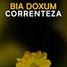 Correnteza