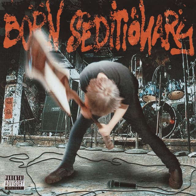 Album cover art for Born Seditionary