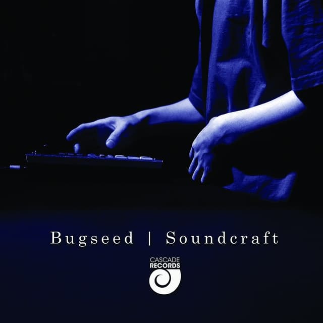 Album cover art for Soundcraft