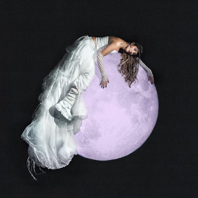 Album cover art for TOUT PERDU