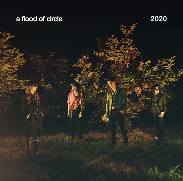 Album cover art for 2020
