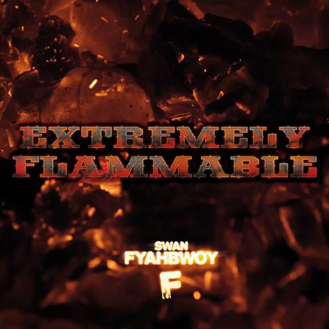 Album cover art for Extremely Flammable