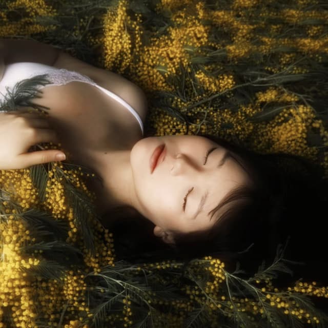 Album cover art for Мимозы