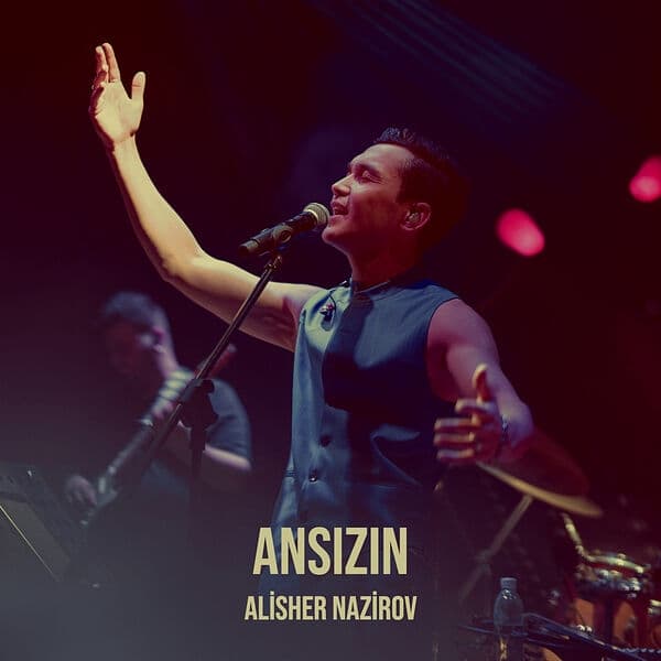 Album cover art for Ansızın