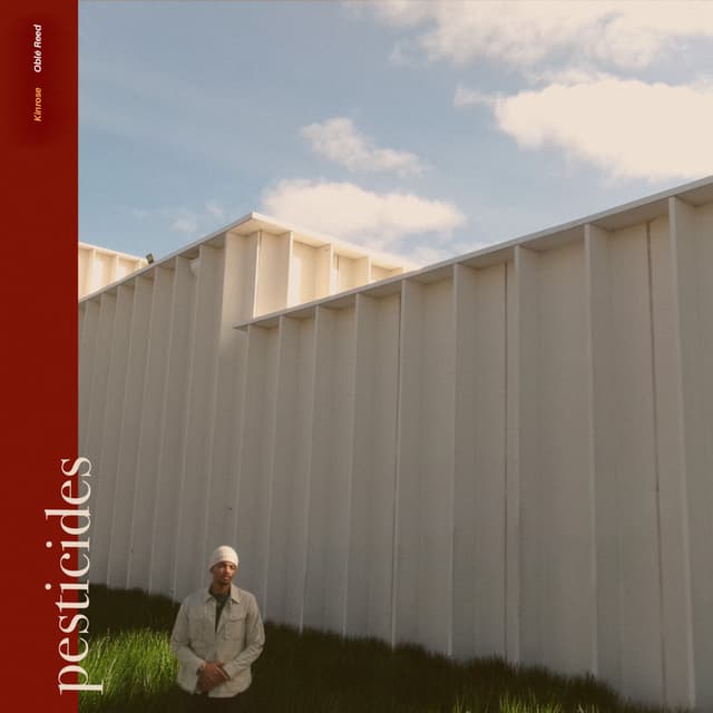 Album cover art for pesticides