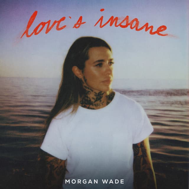 Album cover art for Love's Insane