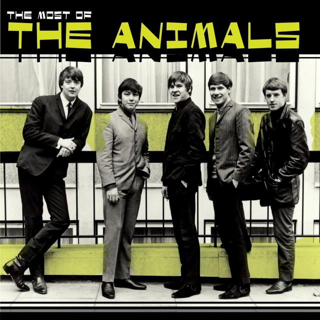 Album cover art for The Most of the Animals