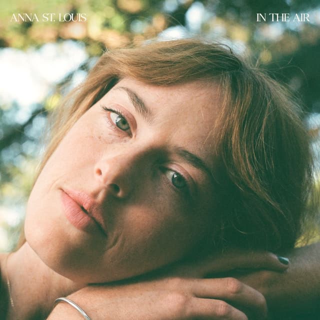 Album cover art for In the Air