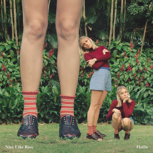 Album cover art for Nice Like Rice