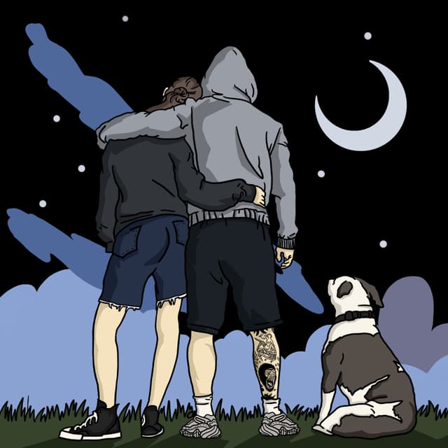 Album cover art for Чекаю на ніч