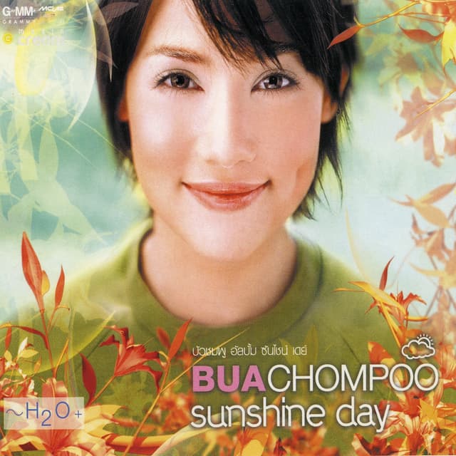Album cover art for Sunshine Day