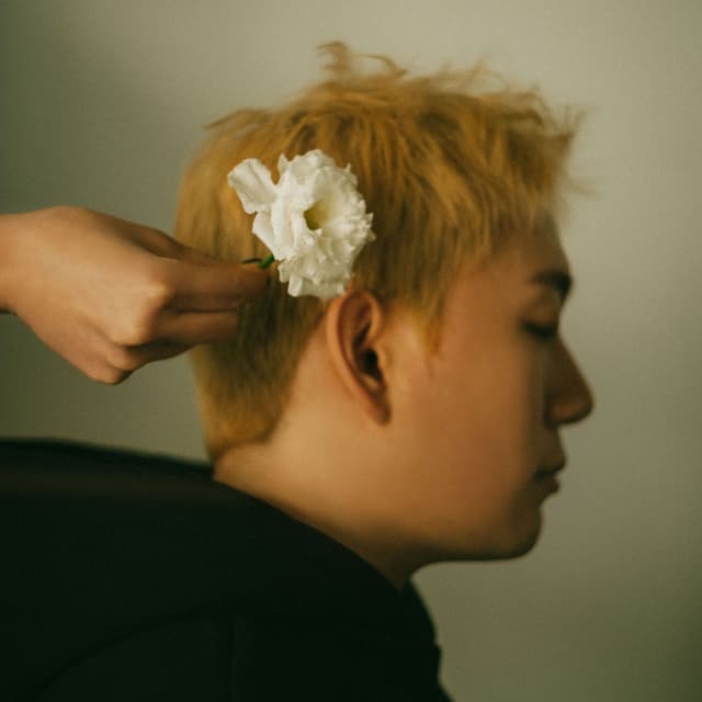 Album cover art for Stayed