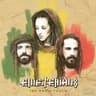 Sound Di Alarm [Live at Rototom Sunsplash]