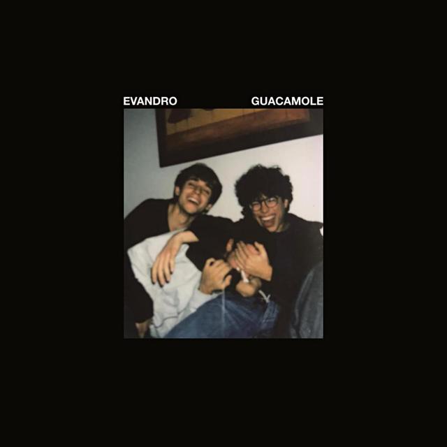 Album cover art for Guacamole