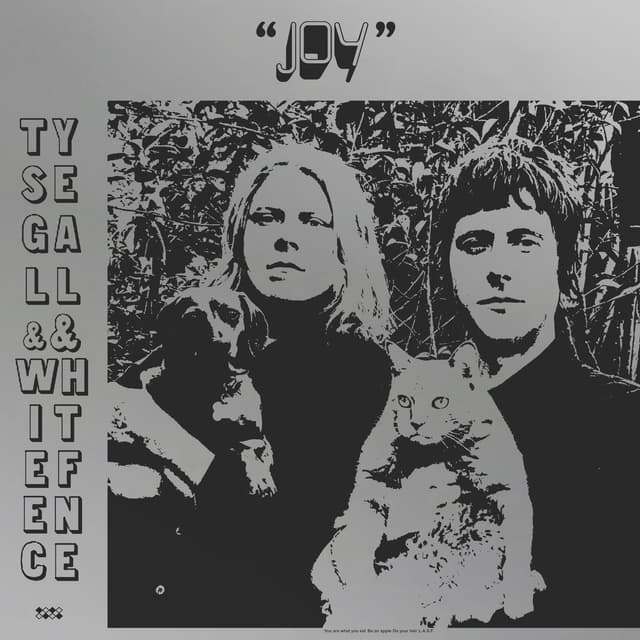 Album cover art for Joy