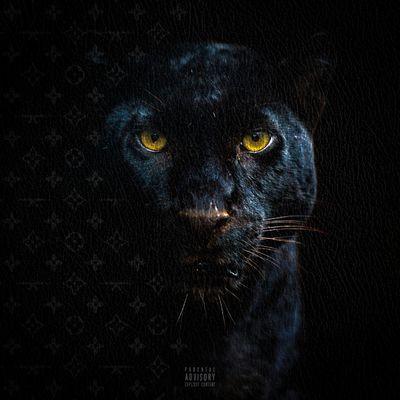 Album cover art for Stilen Lagt