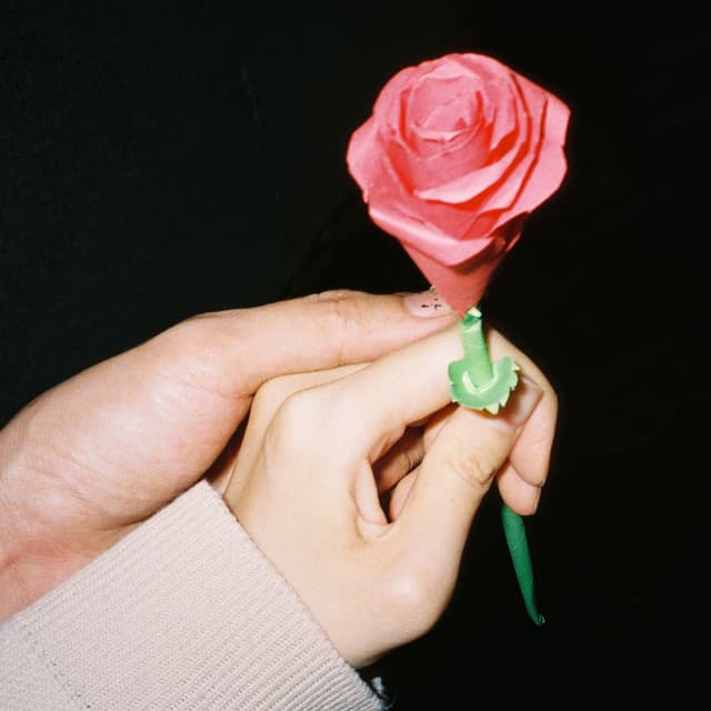 Album cover art for HIDDEN LUV