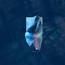 Swim