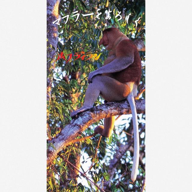 Album cover art for マフラーをよろしく